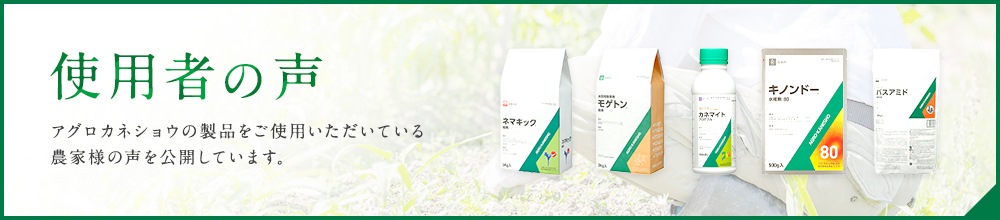 使用者の声